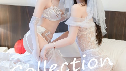 极速精选片在线播放全集